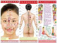 Tabla de pared de meridianos para el cuidado de la salud, gráfico de raspado de pies, cara, espalda, Tcm, 3 imágenes en Total 2024 - compra barato