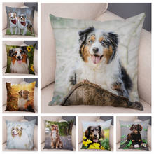 Funda de almohada con diseño de perro pastor australiano, cubierta de cojín de felpa corta, supersuave, para sofá y hogar 2024 - compra barato