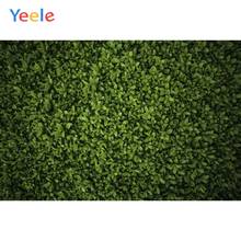 Yeele Grass Green Screen Foliage Leaves Party Decor Photography Backgrounds Customized Photographic Backdrops for Photo Studio 2024 - buy cheap