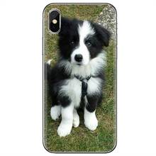 Бордюрный силиконовый чехол для телефона с изображением собаки колли и пород для iPhone 11 Pro 4 4S 5 5S SE 5C 6 6S 7 8 X XR XS Plus Max для iPod Touch 2024 - купить недорого