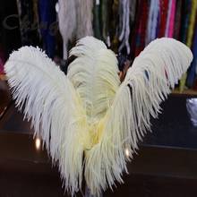 30 PEÇAS Tingidas Plumas de Avestruz Bege 60-65CM 50-55 centímetros penas Naturais para Handwork DIY Casamento decoração do partido Acessórios 2024 - compre barato