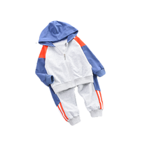 New Spring Autumn Baby Clothes Suit Children Boys Girls Stitching Hooded Pants 2Pcs/sets Toddler Casual Clothing Kids Tracksuits 2024 - buy cheap