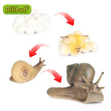 New Simulation Animals Insect Model Mini Animals Snails Growth Cycle Ornaments Kids Cognitive Educational Toys for Children Gift 2024 - buy cheap