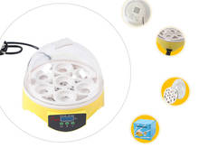 Incubadora Digital clara de 7 huevos, 110V/220V, Control automático de temperatura, máquina incubadora de huevos de pato y pájaro 2024 - compra barato