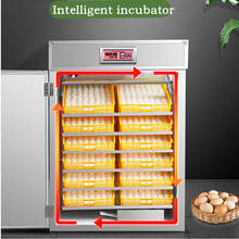 Incubadora inteligente automática para el hogar, máquina para incubar pollo, pato, temperatura constante 2024 - compra barato