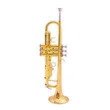 Professional Musical Instrument Bb Tune Trumpet Brass Plated With Case Free Shipping 2024 - buy cheap