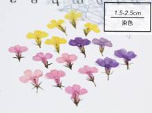 1.5cm/20pcs,Nature Real Touch Flower Petals,Pressed Lobelia for DIY Candles Craft Bookmark Gift Card,Flores secas Facial Decor 2024 - buy cheap