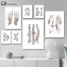 Human Anatomy Skeleton Canvas Painting Bone Structure Education Art Poster Print Wall Picture Modern Home Hospital Decoration 2024 - buy cheap
