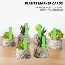 Etiquetas de plástico para plantas de jardín, marcadores de vivero, etiquetas de plántulas, accesorios de jardinería, 10x2cm, 20 Uds. 2024 - compra barato