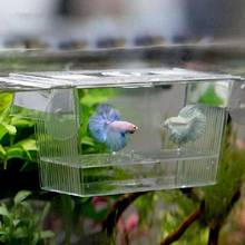 Aquarium Fish Tank Guppy Double Breeding Breeder Rearing Trap Box Hatchery 2024 - buy cheap