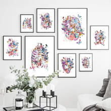 Corpo humano cartaz de anatomia pintura em tela colorida flor cérebro coração órgão educação médica abstracto impressão da arte parede imagem 2024 - compre barato