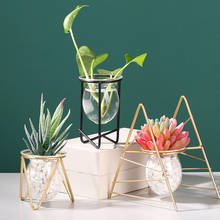 Vaso de vidro hidropônico com vidro, vaso de flores para plantas hidropônicas, recipiente de terrário criativo para mesa, decoração moderna 2020 2024 - compre barato