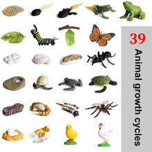 Modelo de brinquedo de simulação de insetos, figuras de ação para crianças, conjunto de ciclo de crescimento da vida da palco, educação científica para crianças 2024 - compre barato