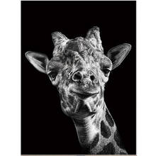 5D Mosaic Black White Animal Giraffe For Living Room Home Decor Diy Diamond Painting Handicraft Embroidery Wall StickersZP-3124 2024 - buy cheap