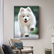 Алмазная живопись 5D «сделай сам» с изображением собаки, вышивка крестиком, полная выкладка, круглая вышивка, красочная ручная работа, домашняя комната, настенное украшение, рукоделие 2024 - купить недорого