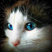 Mosaico completa de ponto cruz diy 5d, pintura de diamante gato com olhos azuis bordados 2024 - compre barato