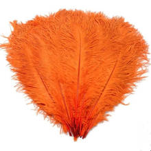 10pcs/lot 15-70CM Orange Ostrich Feather Stage Costume Wedding Decoration Feathers Supplies Carnival Dancer Decoration Plumage 2024 - buy cheap