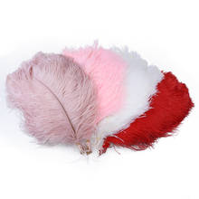 Plumas de avestruz rosa de cuero esponjoso, plumas de avestruz de 40-45 CM/16-18 pulgadas para bricolaje, fiesta de boda, decoración del hogar, plumas artesanales 2024 - compra barato