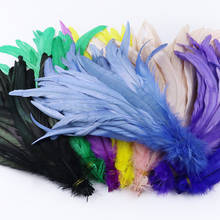 25-30cm Rooster Tail Feathers for Crafts Wedding  Carnival Party Decorative plume Hat mask decoration 10pcs/lot 2024 - buy cheap