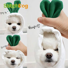 Early Autumn New radish pet sweater Teddy Bixiong Bomei VIP cat puppy small dog dog dog clothes 2024 - buy cheap