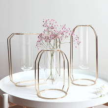 Nordic Transparent Tube Glass Metal Flower Rack Rose Gold Art Vase Home Hydroponic Plant Flowerpot Flower Arrangement Decor 2024 - buy cheap