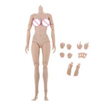 1: 6 Female Large Breast Coarse Body 12 '' Action Figure Movable Mixed 2024 - buy cheap