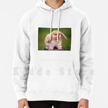 Nicolas Cage / Rabbit hoodie long sleeve Nicolas Cage Nicolas Cage Photoshop Rabbit 2024 - buy cheap