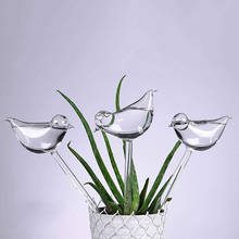 Sistema de autorriego automático para casa y jardín, alimentador de plástico con forma de pájaro, latas de riego transparentes, flores 2024 - compra barato