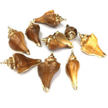 Natural shell fashion Conch Pendants Exquisite Charms for Jewelry Making DIY Bracelet Necklaces earring Accessories Size 25x50mm 2024 - buy cheap