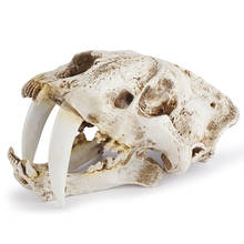Resin Craft Saber-Toothed Tiger Skull Statues Decoration Creative Bar Decoration Skull Sculpture  Home Ornaments 2024 - buy cheap