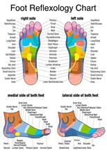 Lot style Choose Reflexology Foot Chart Art print Silk poster Home Wall Decor 2024 - buy cheap