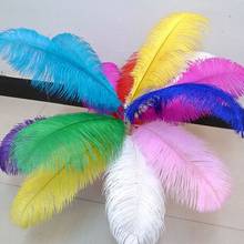 Wholesale 10-100 ostrich feathers 60-65 cm / 24-26 inches for wedding celebration show decorative feathers 2024 - buy cheap