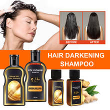 Hot Hair Darkening Professional Shampoo Hair Strengthen Damaged Dyed Repair Shampoo Ginger Anti-hair Loss Polygonum Shampoo 2024 - buy cheap