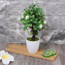Mini bandeja de bambu para plantas, prato retangular para plantas, suporte para vasos de flores, suculentas 2024 - compre barato