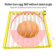 Bandeja para ovos de galinha, pato, codorna, ganso, aves, compartimento para ovos de incubação automática, 1 conjunto 2024 - compre barato