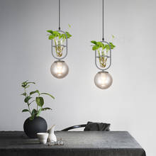 Modern Bar Restaurant Plant Pendant Lights Glass Ball Led Hanging Lamps Loft Industrial Fixtures Living Room Kitchen Home Decor 2024 - buy cheap