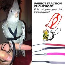 Parrot Harness And Leash Flying Anti-bite Traction Rope Bird Training Outdoor Carrying For Scarlet Macaw Parrot Bird Pet Product 2024 - buy cheap