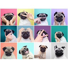 Yumeart Diamond Painting Pug Dog Animals Embroidery DIY 5D Diamond Painting Cross Stitch Rhinestone Mosaic Painting Cute Pugs 2024 - buy cheap