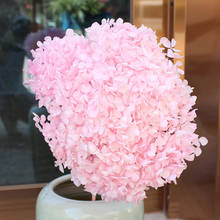 Kerst-flores secas eternas para decoración del hogar, Hortensia preservada con cabeza de 15-20CM, plantas naturales reales, decoración del hogar 2024 - compra barato