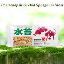 12L Garden Supplies Sphagnum Moss Moisturizing Nutrition Organic Fertilizer For Phalaenopsis Orchid 2024 - купить недорого