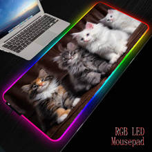 Mrgbest gato colorido barbudo adorável gato rgb grande tapete do mouse computador mousepad led backlight superfície mause teclado almofada tapete de mesa 2024 - compre barato