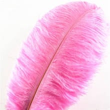10Pcs/Lot Pink Ostrich Feather Crafts 15-70cm/6-28" Feathers Ostrich Plumes home Wedding Feathers Decoration Carnaval Assesoires 2024 - buy cheap