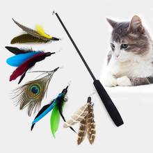 Игрушка для кошек и перьев, палочка для перьев, палочка для домашних животных, выдвижной питомец, запасной Ловец, продукт для котят 2024 - купить недорого