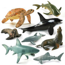 Killer Whale Tiger Shark Walrus Sea Lion Turtle Dolphin Aquarium Animal Model Action Figure Figurine Doll House Education Toy 2024 - buy cheap