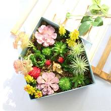 Artificial Succulent Plants Landscape Simulation Flower Mini Green Fake Wedding Ceremony Home Garden Bonsai Arrangement Decor 2024 - купить недорого