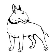 Pegatina divertida de Bullterrier para perros, Mascotas, Animales, protector trasero de coche, motocicletas, accesorios de Exterior, calcomanías de vinilo 2024 - compra barato