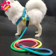 WOFUWOFU Puppy/Rainbow Dog Leash And Harness，Luxury Cat Leash Harness, Style Leash with Easy to Use Collar 2024 - buy cheap
