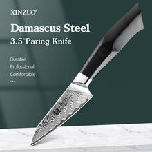 XINZUO 3.5'' Inches Paring Knife Damascus Steel Stainless Steel Razor Sharp Blade Peeling Knives Fruit Cutter Tools G10 Handle 2024 - buy cheap