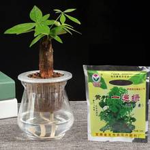 40g Trace Element Amino Acid Foliar Fertilizer Water For Plant Organic Fertilizer Release Potted Fruit Flower Soluble Veget Q8C3 2024 - buy cheap