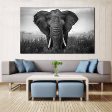 Pôster de elefante africano escuro com impressão animal, quadros preto e branco para sala de estar, arte de parede, decoração de quarto 2024 - compre barato